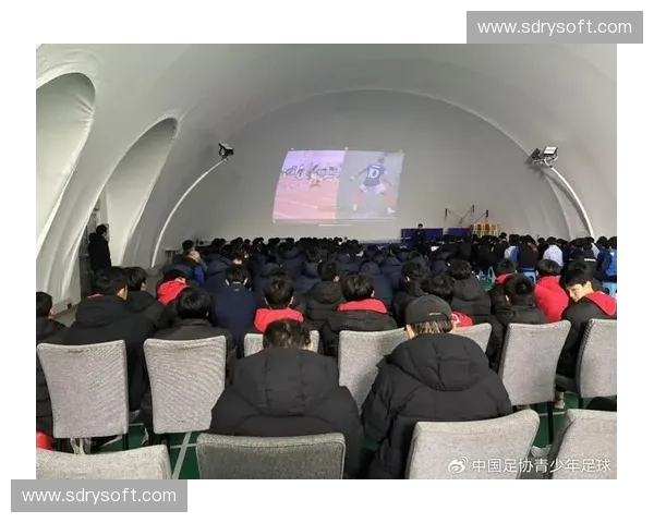 以体育培训机构为核心推动青少年体能提升与综合素质发展的创新路径研究