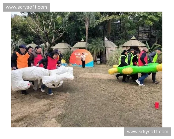 打造全龄趣味运动营地，激发孩子活力与团队协作能力